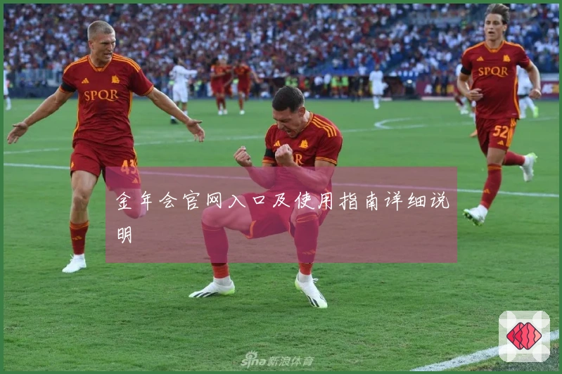 金年会官网入口及使用指南详细说明